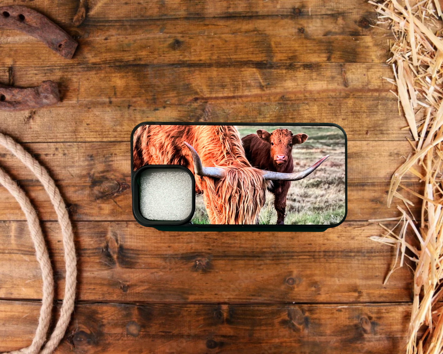 Red Highland and Calf